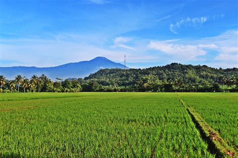 Gunung Sawah Pemandangan - Foto gratis di Pixabay