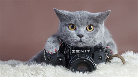 Cute Camera Wallpaper - WallpaperSafari