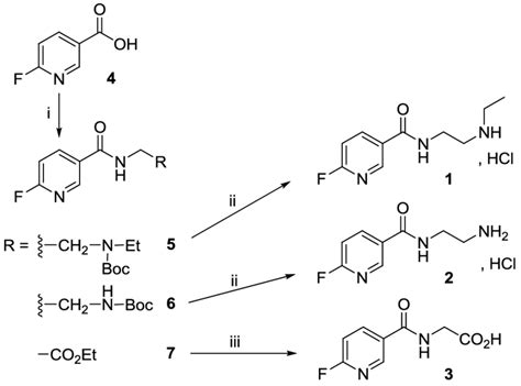 Synthesis Of Metabolites 1 2 And 3 Reagents And Conditions I Dcc Download Scientific