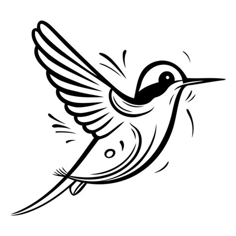 Ilustración vectorial de un colibri volador aislado sobre un fondo