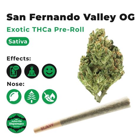 Exotic San Fernando Valley Og Thca Pre Rolls Buy Asheville Dispensary