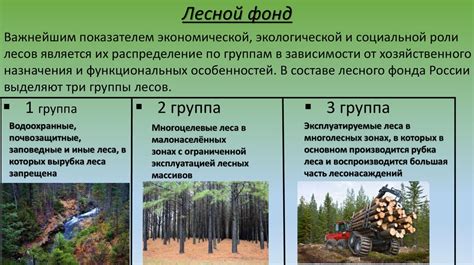 Лесная промышленность в России - презентация онлайн
