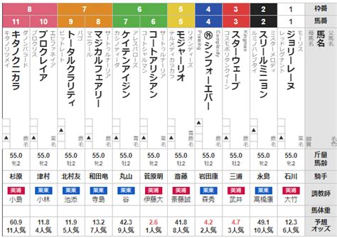 新潟2歳s 2024 出走馬全頭分析 ソフトさんの競馬ヨソー！予想動画ブログ