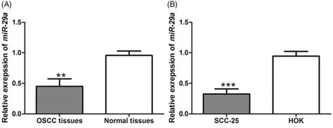 The Relative Expression Of Mir A In Oscc Tissues And Cell Line