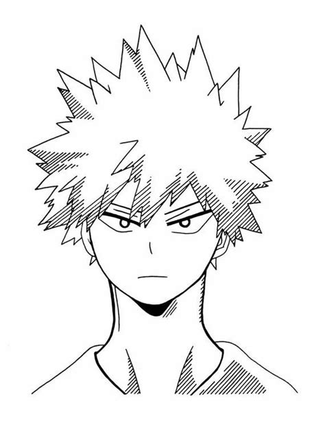 Bakugou Katsuki Hero My Hero Academia Hero Academia Characters