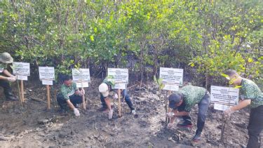 Bumn Perum Bulog Tanam Bibit Bakau Di Bali