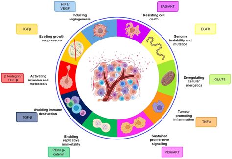 10 Hallmarks Of Cancer