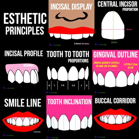 An Idiots Guide To Esthetics Course Karma