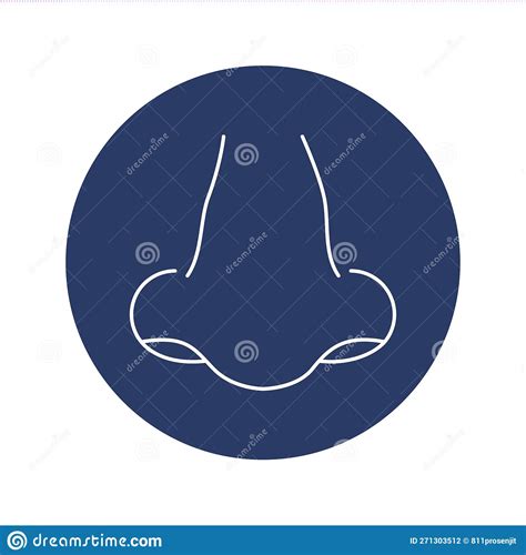 Nose Human Nose Icon Stock Vector Illustration Of Biology 271303512