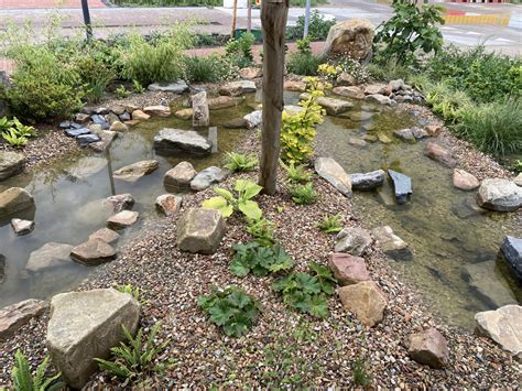 Een Water Stroompje In Een Voortuin In Veldhoven Bloemenpark Appeltern