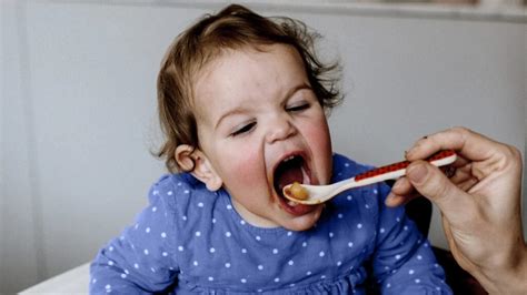 Food Being Digested