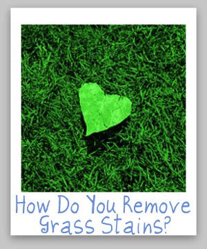 How To Remove Grass Stains: Tips And Hints