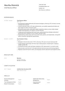 Chief Revenue Officer CV Example