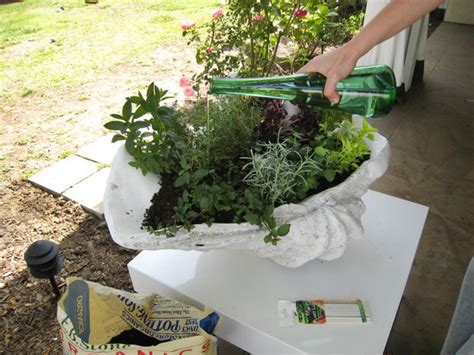 Create a Stunning Herb Container Garden | HGTV