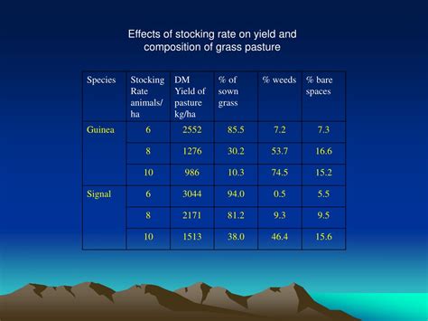 Ppt Stocking Rate Powerpoint Presentation Free Download Id 8818544