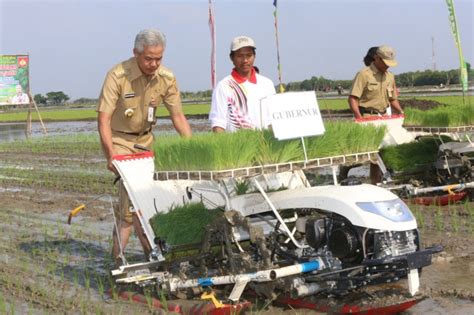 Modernisasi Pertanian Dorong Generasi Muda Terjun Ke Sawah Pemerintah