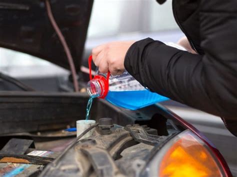 Car Antifreeze and Animals: What You Need to Know | Norris Automotive