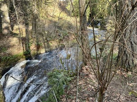 Hidden Falls Nature Park Updated January 2025 23 Photos 14888 152nd Happy Valley Oregon