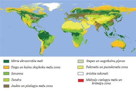 Ģeogrāfiskās Dabas Ainavas — Teorija Ģeogrāfija 7 Klase