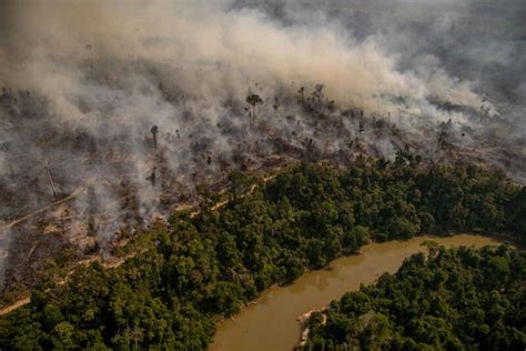 La Deforestazione Ha Distrutto In Anni L Dellamazzonia Unarea