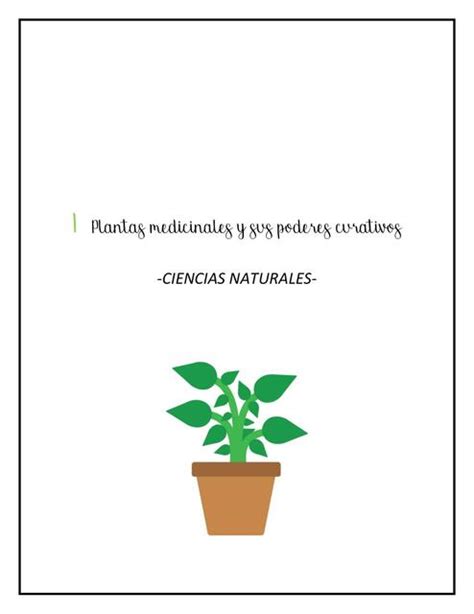 Plantas Medicinales Y Sus Poderes Curativos Ciencias Paola Udocz