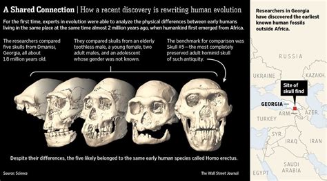 Skull 5 And The Rewriting Of Human Evolution By Robert Lee Hotz Wsj