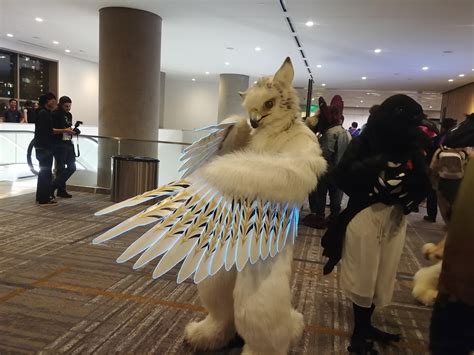 Took this pic of Sora the Gryphon (@ANW2019, my first con) : r/furry