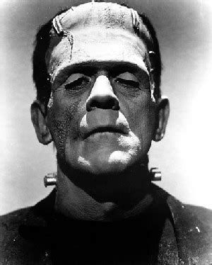 Boris Karloff - Frankenstein - Universal Monsters Photo (11054117) - Fanpop