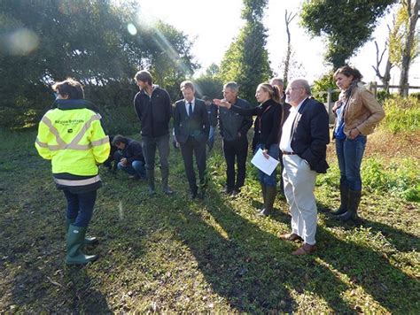 Comité de pilotage du site Natura 2000 des étangs du canal d Ille et