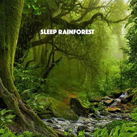 Amazon Musicでrain Sounds Nature Collection Rain Sounds Sleep And Nature