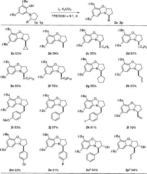 Figure From Molecular Iodine Mediated C H Oxidation Of Pyrrolidines