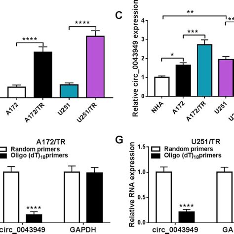 Circ 0043949 Enhanced Tmz Resistance In Tmz Resistant Gbm Cells A