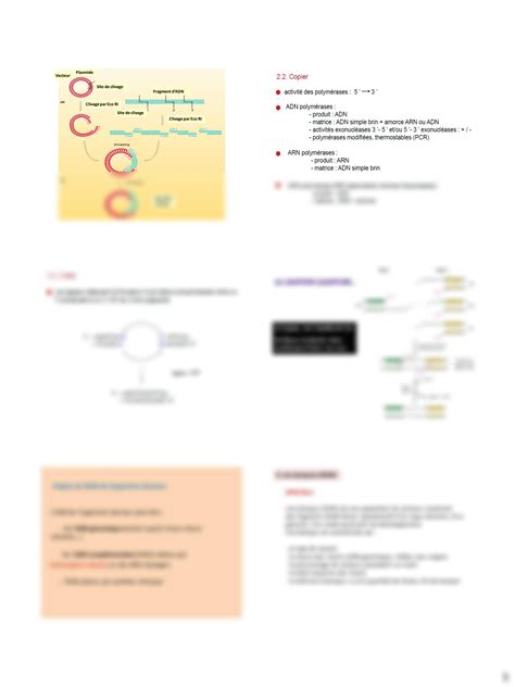 SOLUTION Cours 05 Chapitre V Le Clonage Mol Culaire Studypool