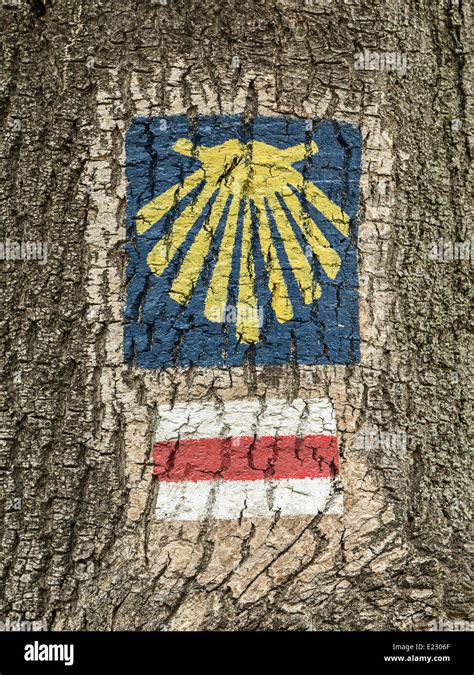 Sign Of Saint James Route Painted On Tree Bark Stock Photo Alamy