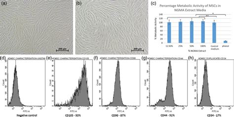 A Phase Contrast Image Showing Spindle‐shaped Rabbit Adipose‐derived