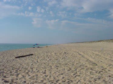 Praia Da Torre Gr Ndola All About Portugal