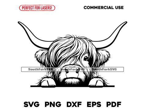 Peeking Highland Cow Head Svg Png Dxf Eps Pdf Transparent Vector