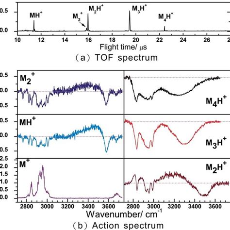 Time Of Flight Mass Spectrum A And Action Spectra B Of A Jet Cooled