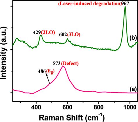 Raman Spectra Of A Sno 2 Nss And B Sno 2 Pbs Heterostructures For