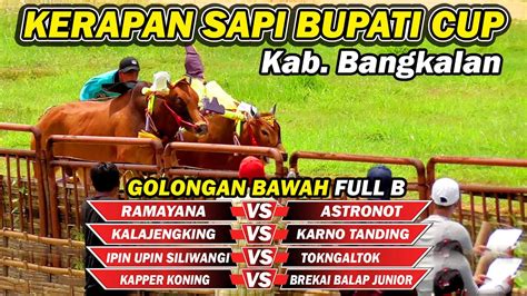 Kerapan Sapi Bupati Cup Bangkalan Babak Kedua Golongan Bawah Full B