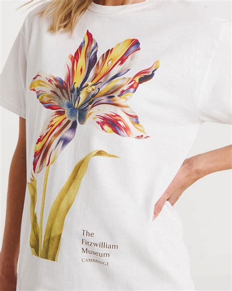 Fitzwilliam Floral Graphic T Shirt Fashion World