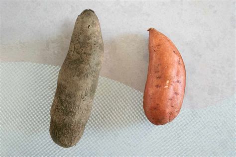 Sweet Potato Vs Yam Experts Explain The Difference