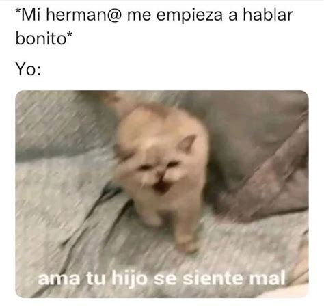 Mi herman me empieza a hablar bonito Yo Ama tu hijo sé siente mal