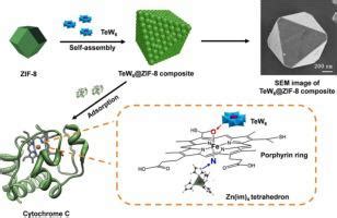 A Novel Anderson Evans Polyoxometalate Based Metal Organic Framework