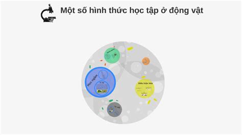 Một Số Hình Thức Học Tập ở động Vật By Ha Viet Hung On Prezi