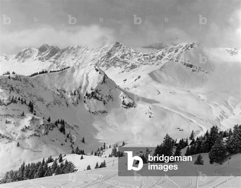 Image of SNOWY MOUNTAINS