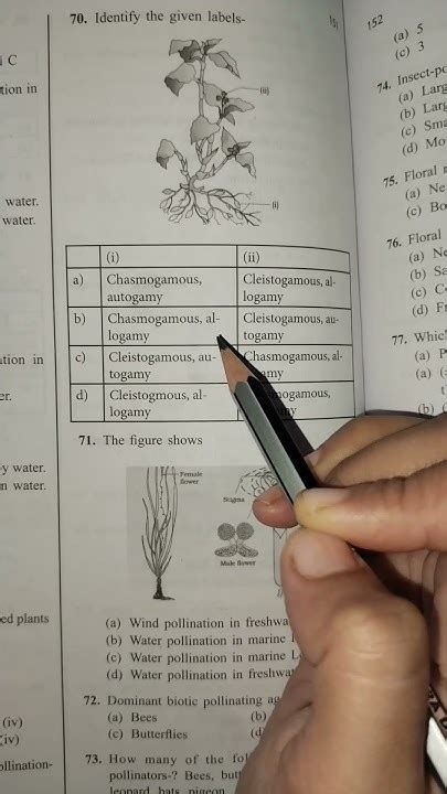 Neet 2024 L Class 12th Bio Ch Sexual Reproduction In Flowering Plants L