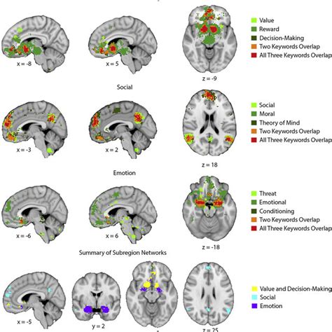 Functionally Specialized Subregions Of The Ventromedial Prefrontal