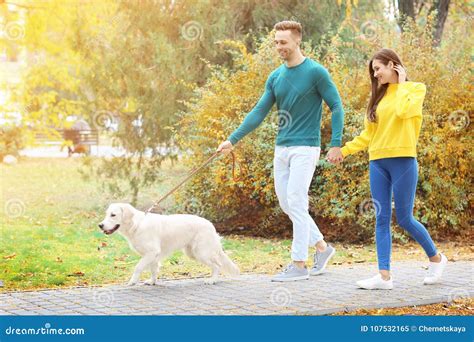 Young Couple Walking Their Dog Stock Image - Image of male, people ...