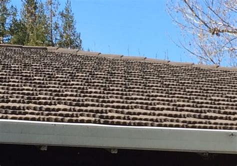 Ways To Learn More About Roofing San Jose CA Roofers